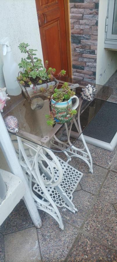 La Ruta Del Jazz Bed & Breakfast Santa Cruz Ngoại thất bức ảnh